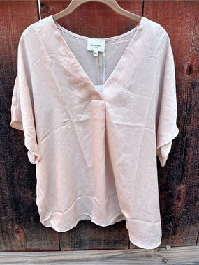 Andrée by Unit V-Neck Blouse in Pink Size 1X NWT